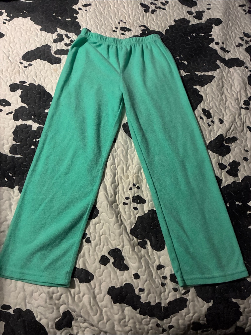 Nina Mint Green Fleece Joggers